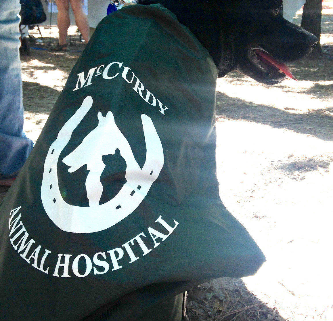 Our Practice McCurdy Animal Hospital in Huntsville, AL